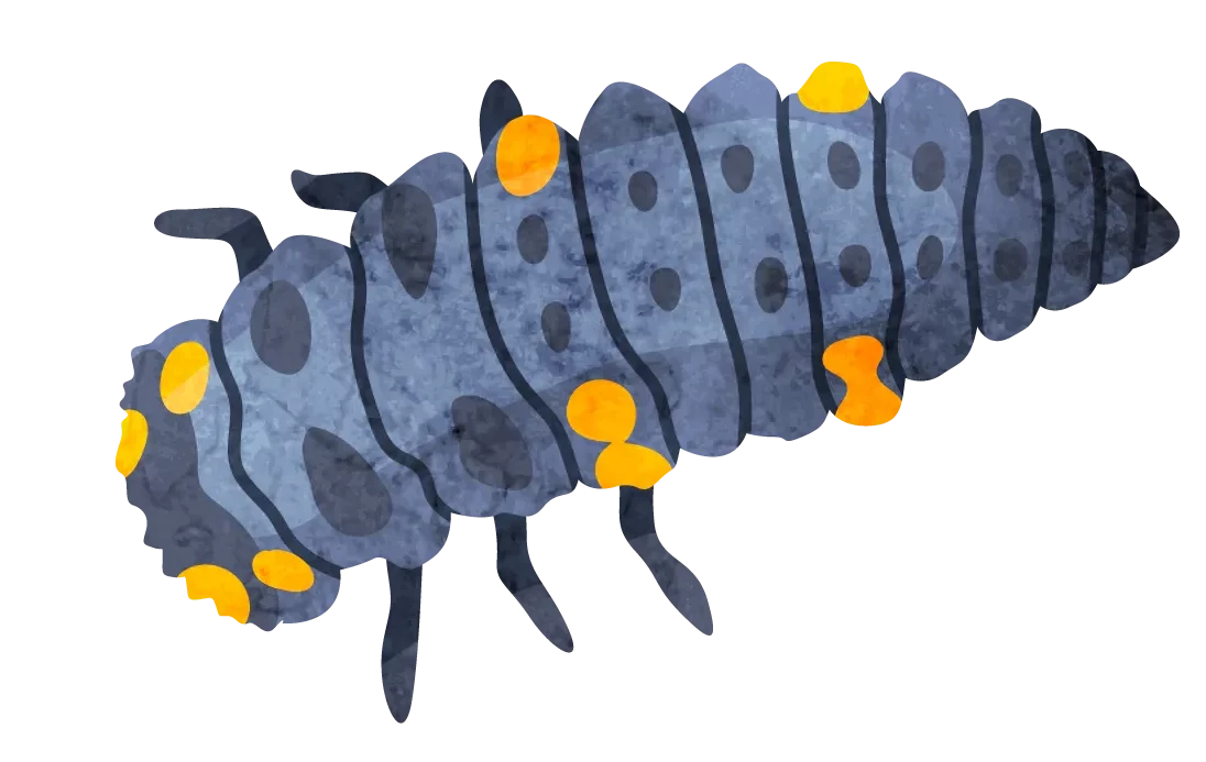 てんとう虫の幼虫：新しい始まりや成長の過程にあることを意味するスピリチュアルなモチーフ